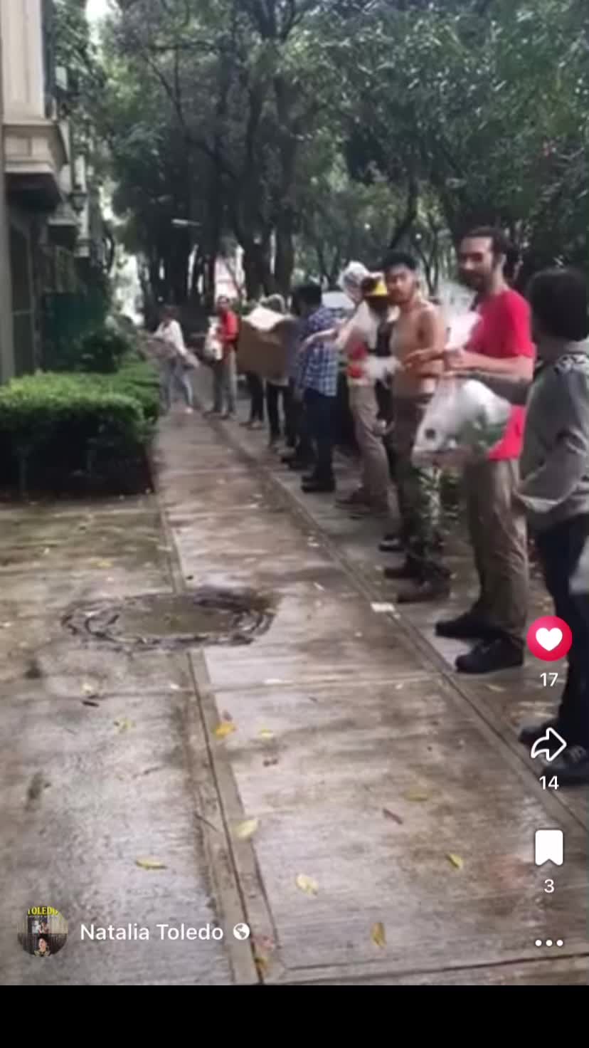 @Tiburonsín