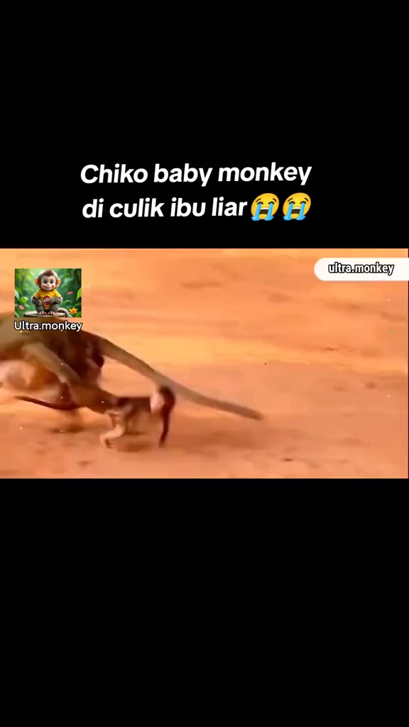 @Monkay Baby