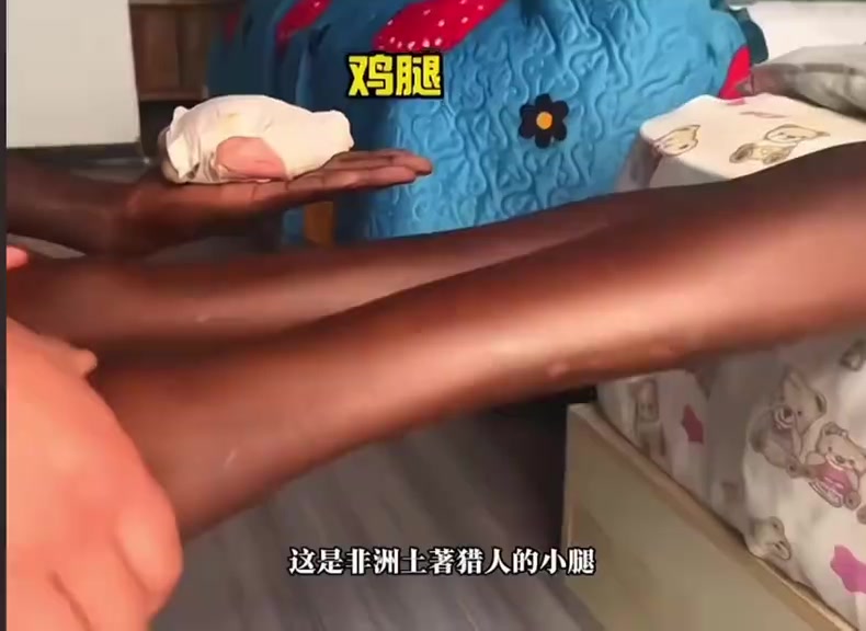 @狮子王 🦁 LEO