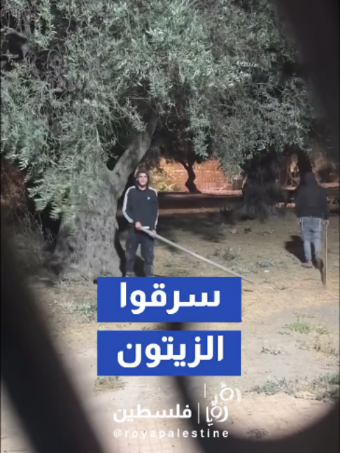 @Royapalestine رؤيا فلسطين