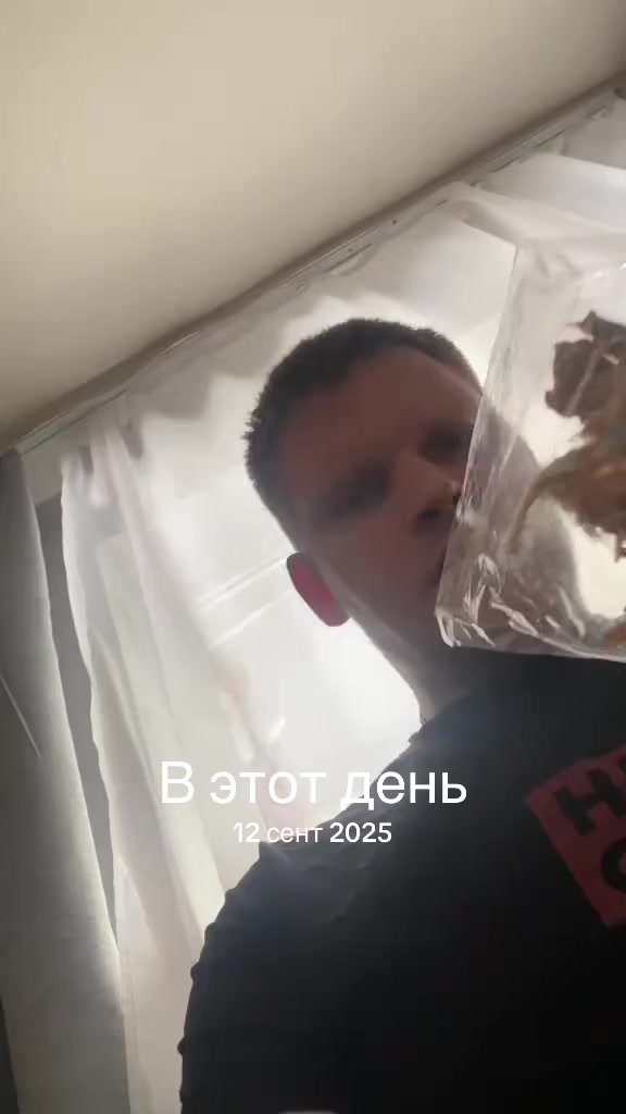 @Македонский