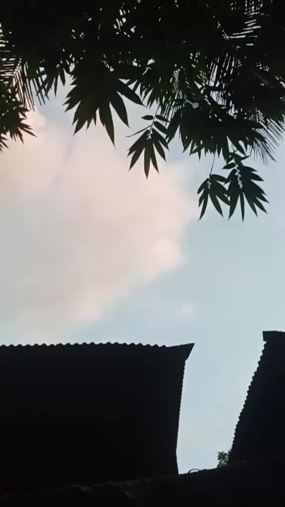 @user87537142910