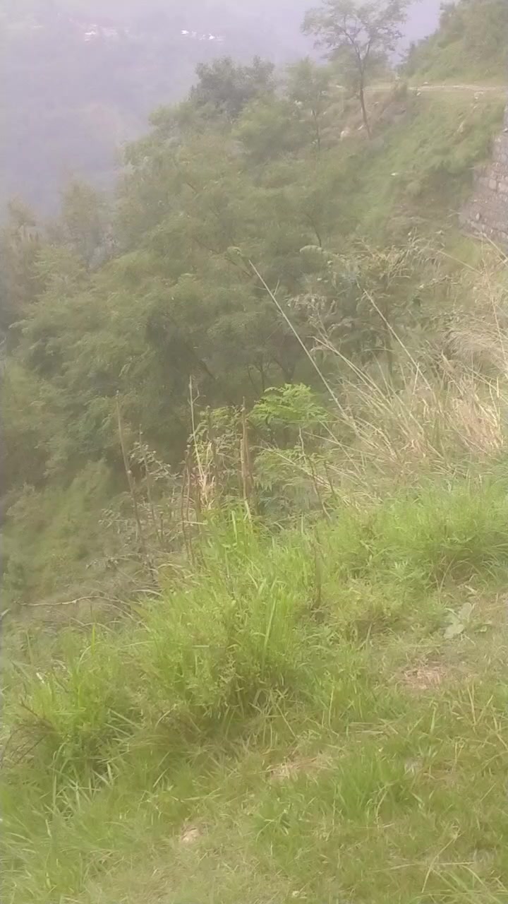 @Raja Reyaz