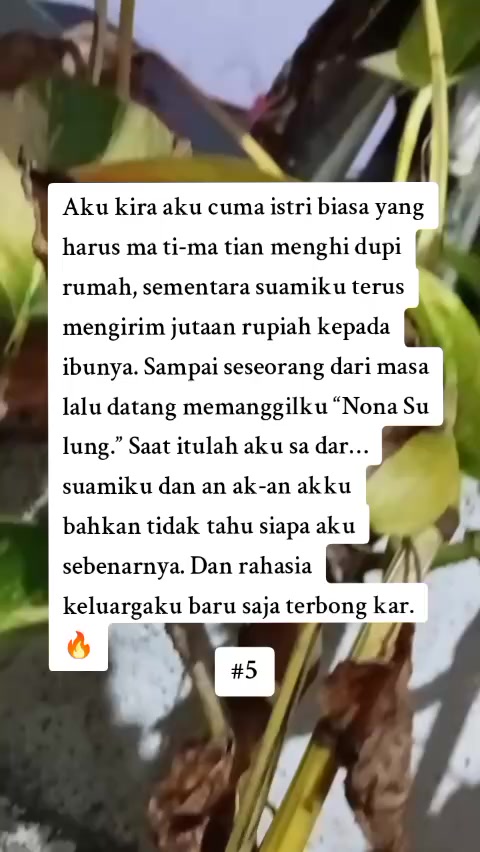 @senyumkata