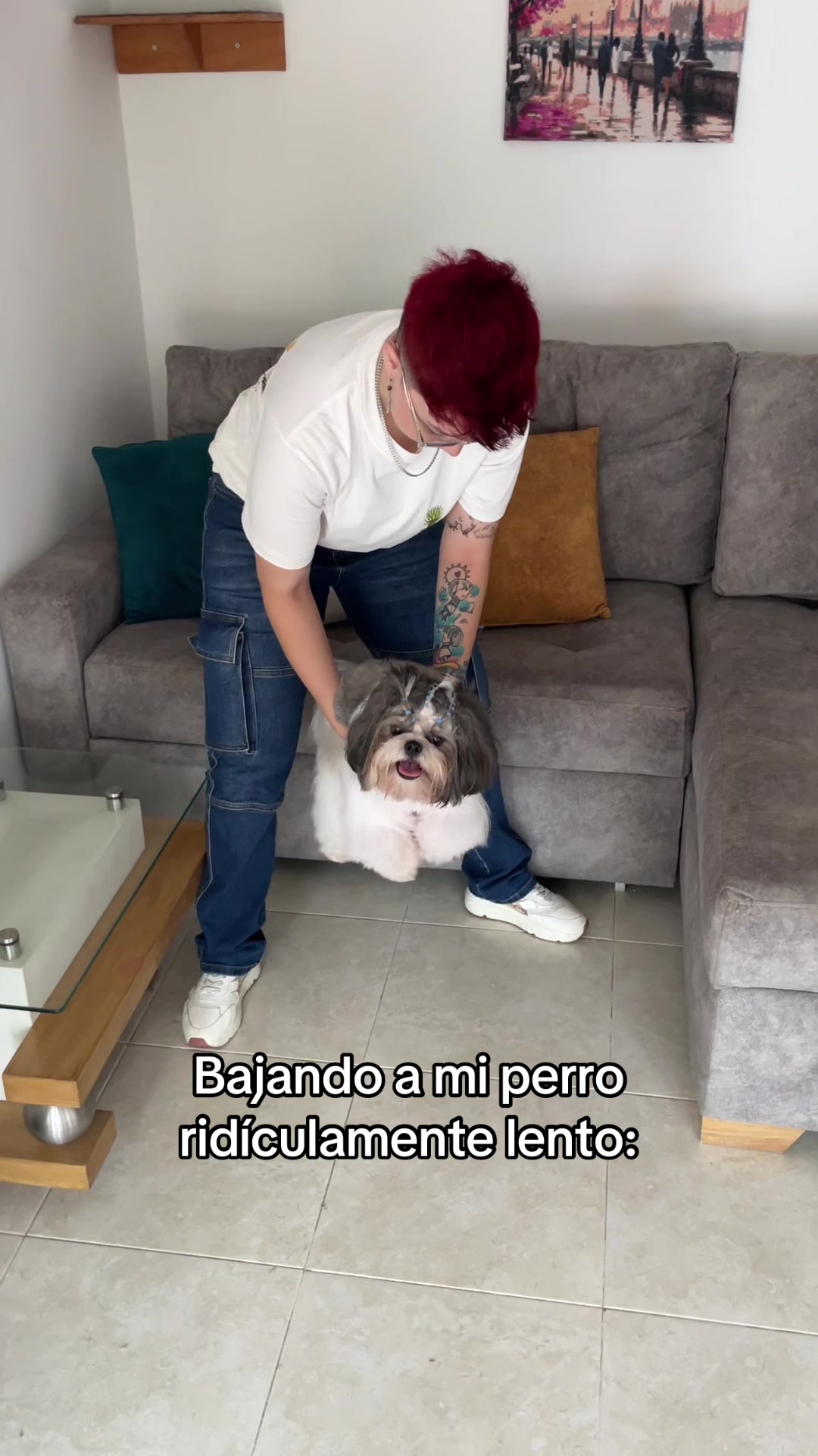@appa_shihtzurp
