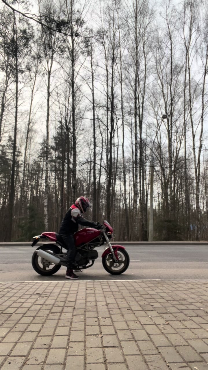 @LYANTS