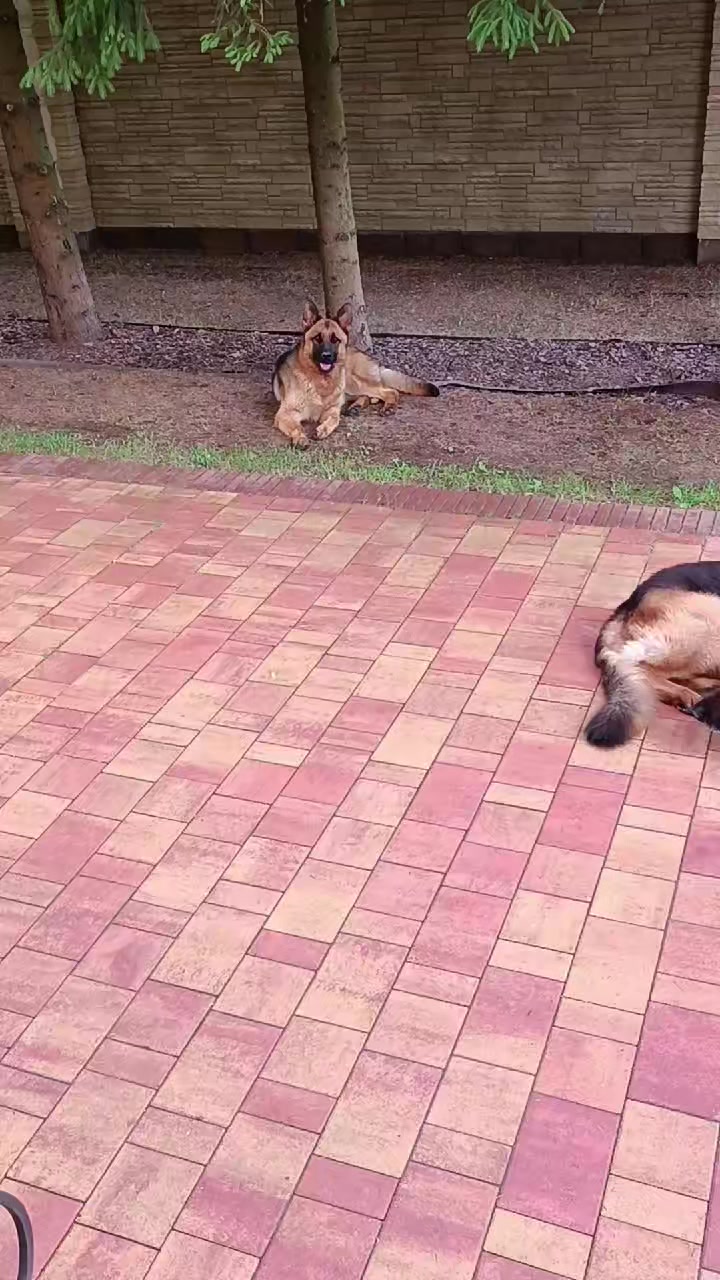 @Людмила