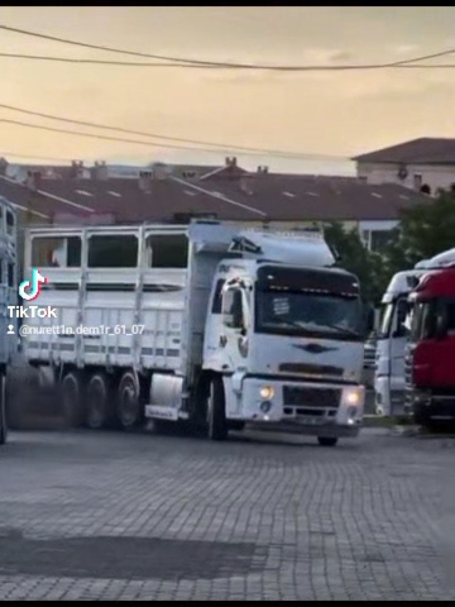 @N.DemiR 𝐋𝐚𝐳ı𝐍𝐨𝐠̆𝐋𝐮ᕕ(