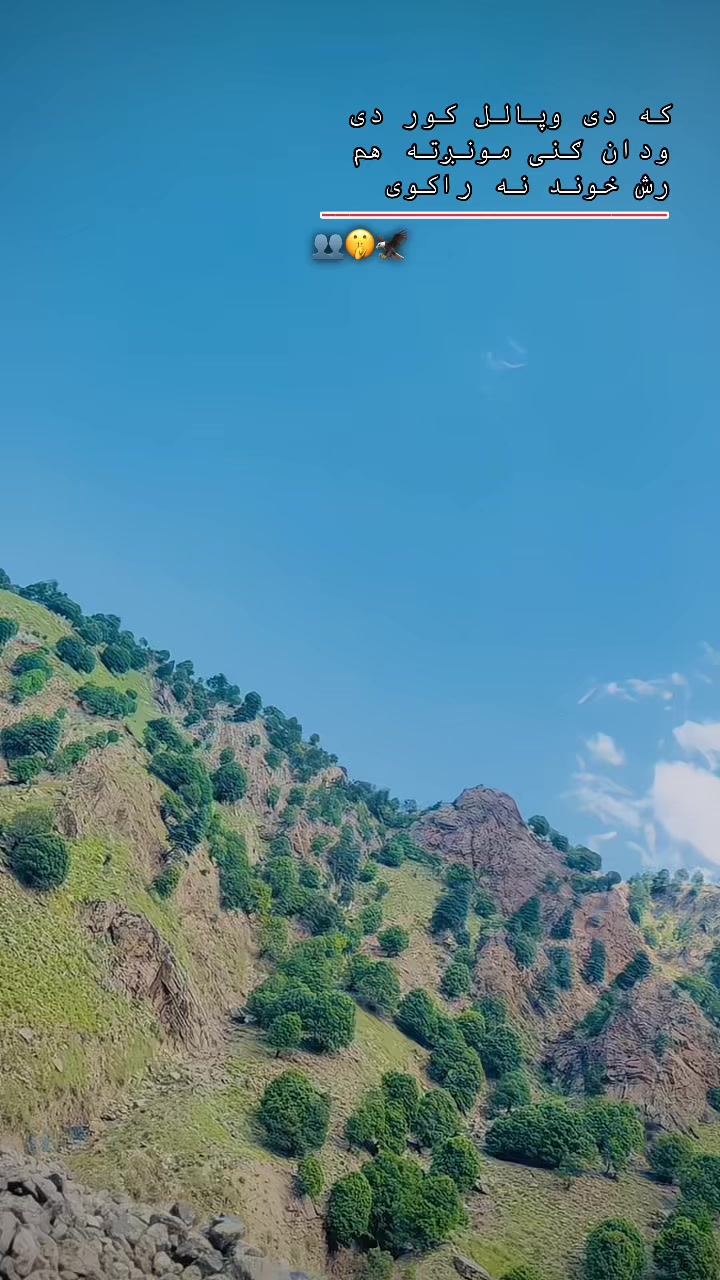 @𓆩&bull;.𝒾𝓉𝓍 𝓌𝒶𝒽𝒾𝒹ℴ.&bull;𓆪