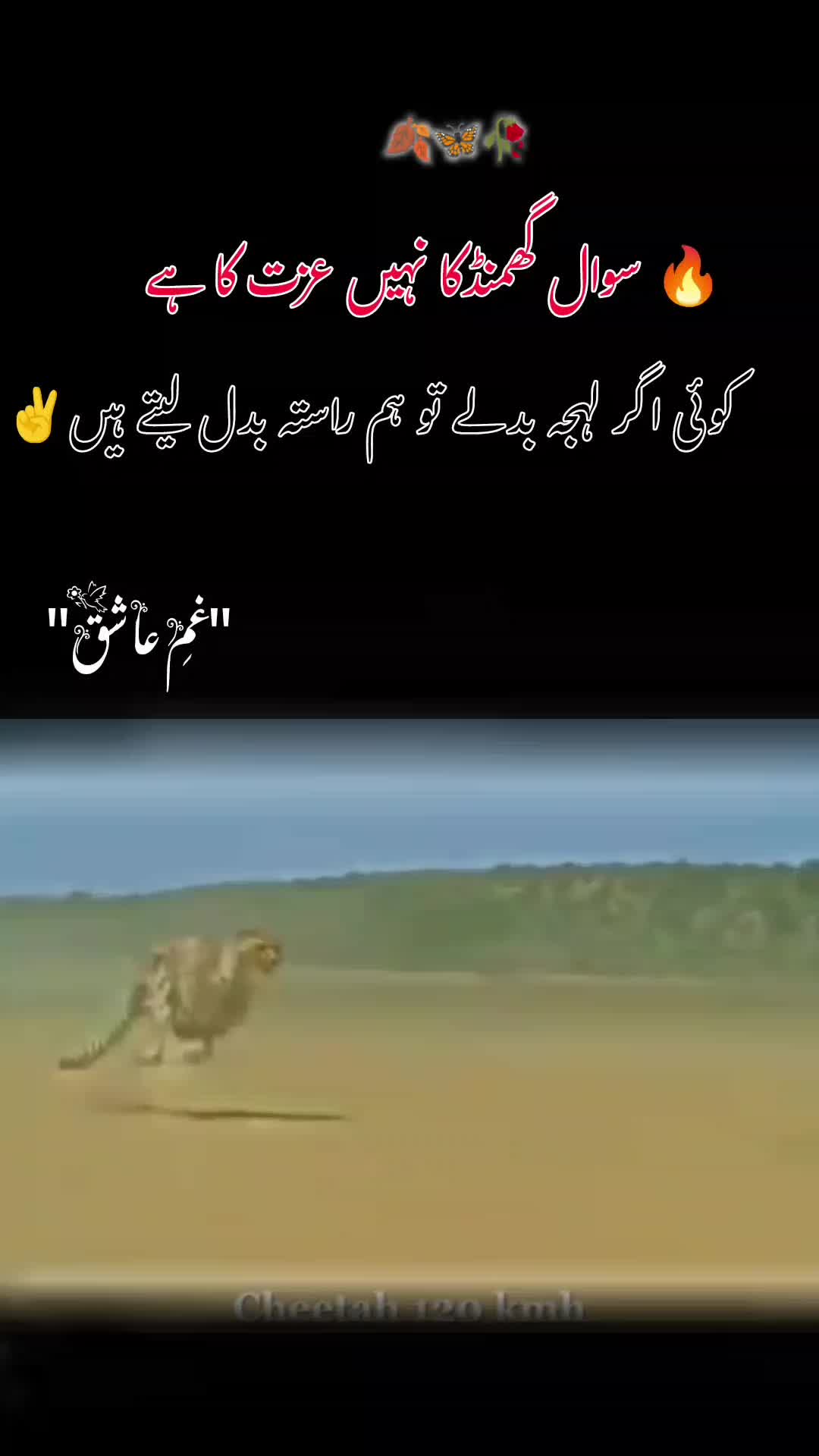 @𝙂𝙝𝙖𝙢 𝙀 𝘼𝙨𝙝𝙞𝙦