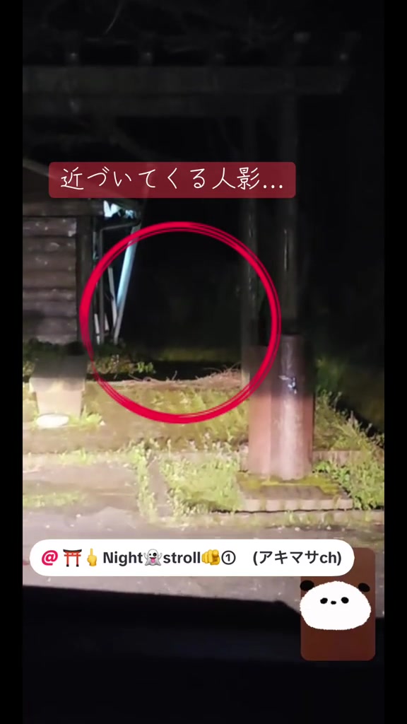 @そら。まめ。👻⛩✨🦁🏴☠️