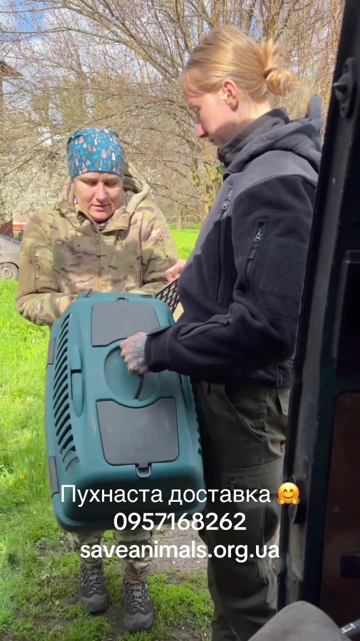 @Serhii Ludenskyi