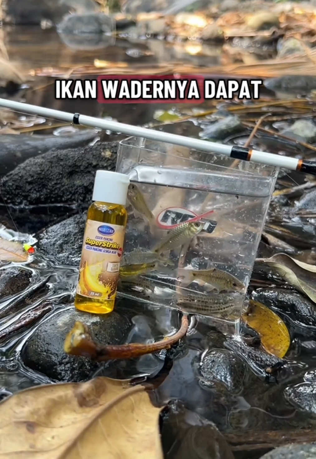 @Andalan Mancing