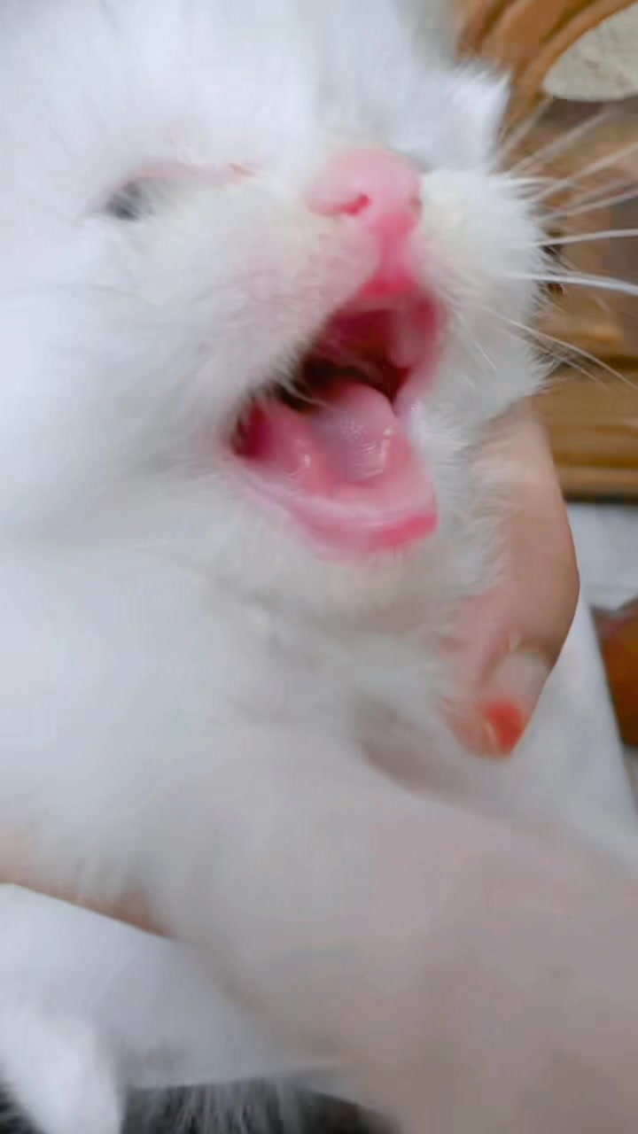 @โ๐ ๐ ๐๐๐ ๐ โ๐๐ง๐