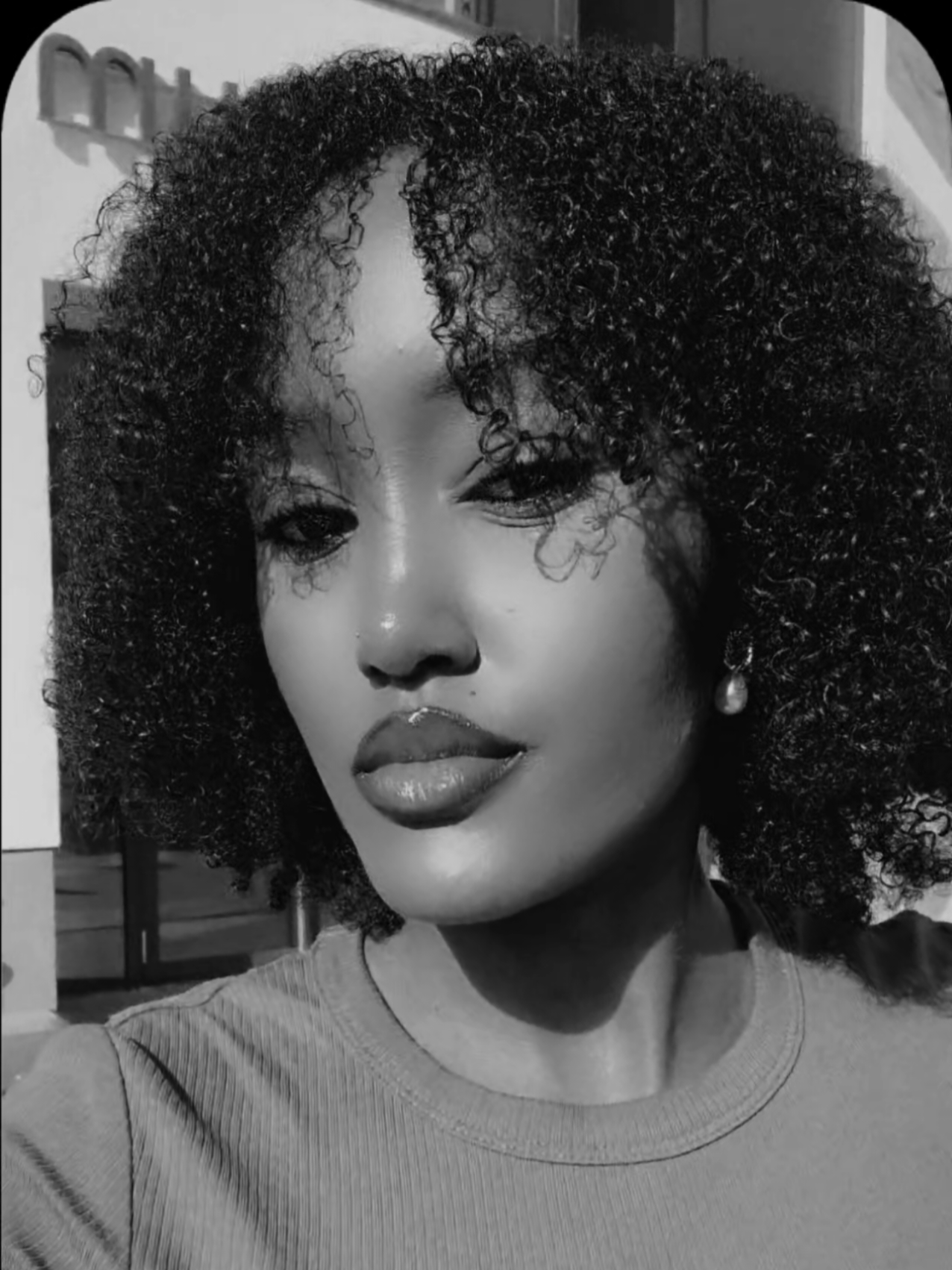 @ᥫ᭡ Miss Dama ᥫ᭡