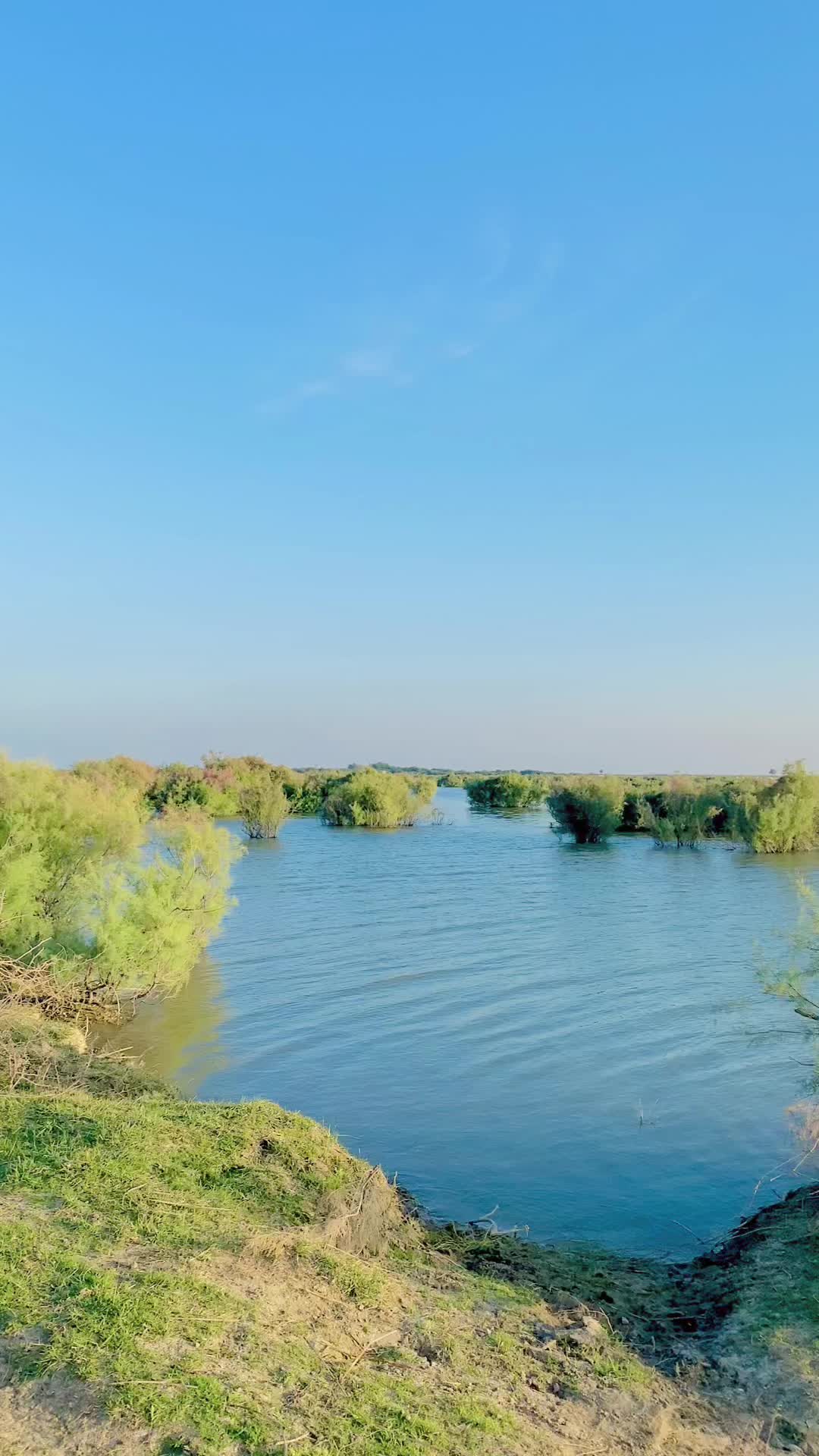 @نعیم