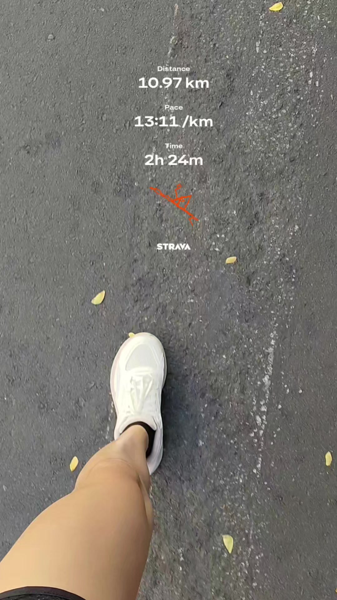 @Pat ๐