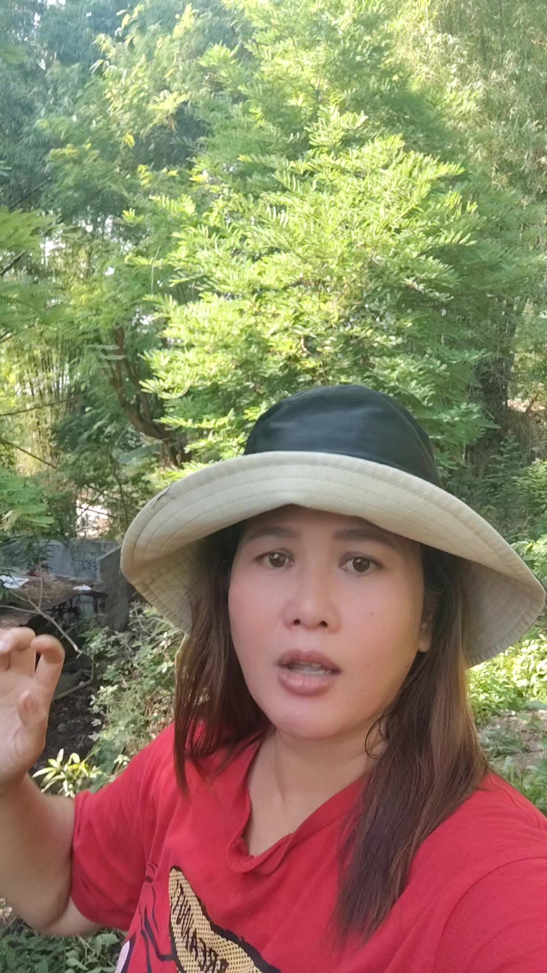 @Rona Golez Cipriano