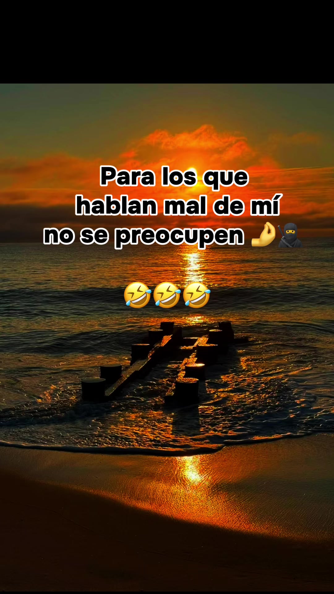 @Carol🌺yuleydi 🌺🐬🐈🐾