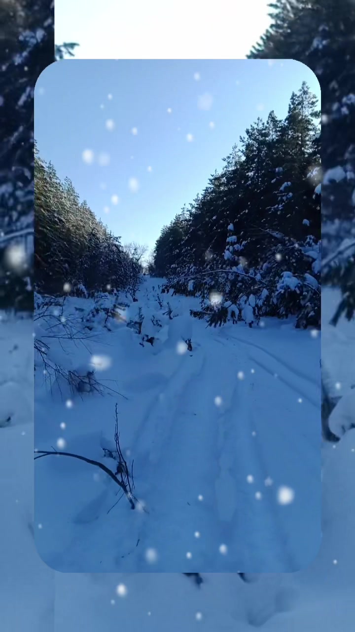 @Алена Безымянная