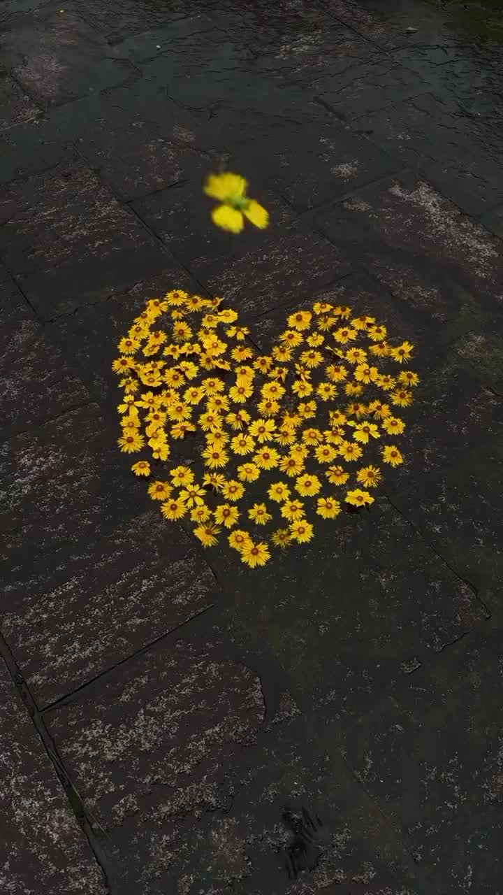 @𝒜𝐻𝑀𝐸🌸