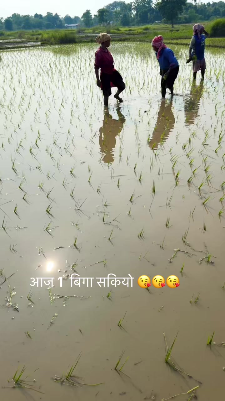 @Manju katuwal raya