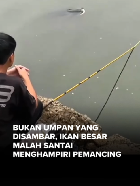 @radarkediri