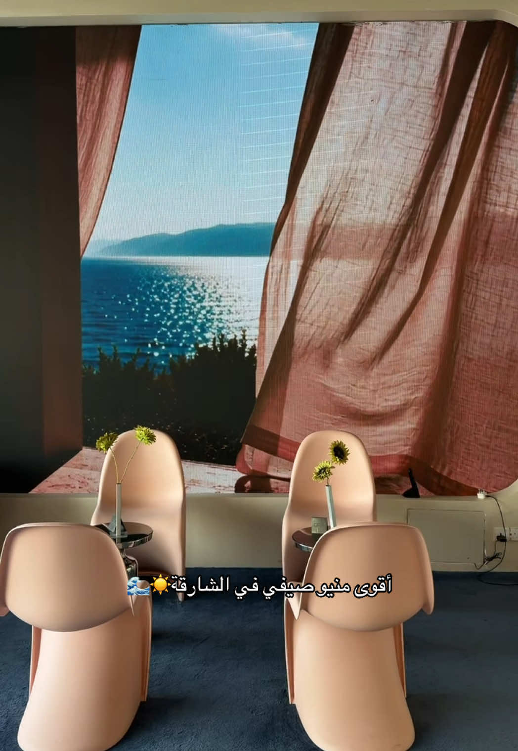 @Raneem