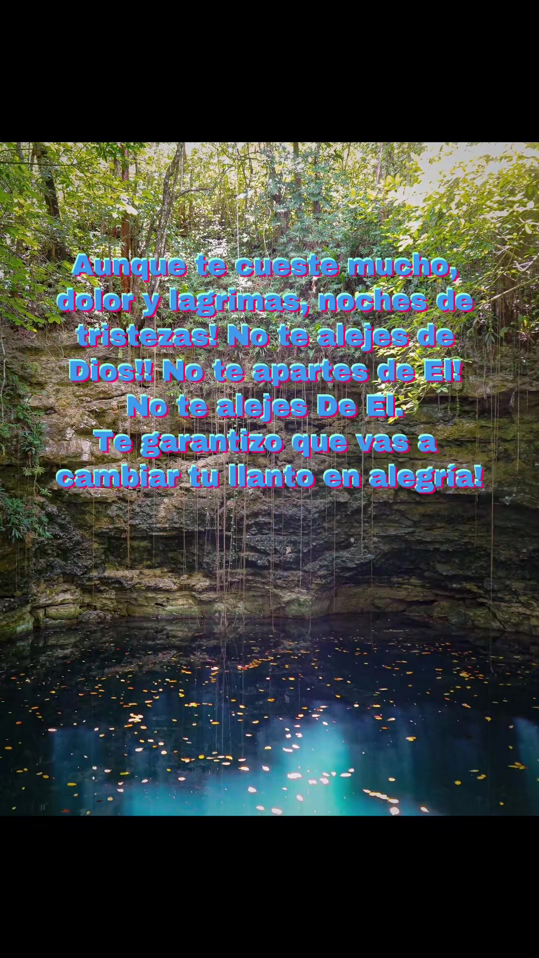 @Elfego Lopez