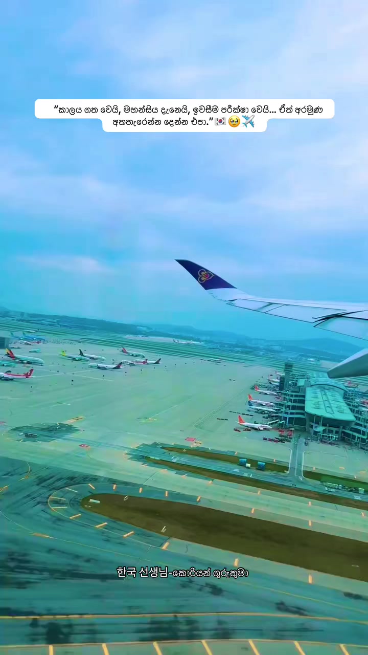 @한국 선생님 -කොරියන් ගුරුතුමා