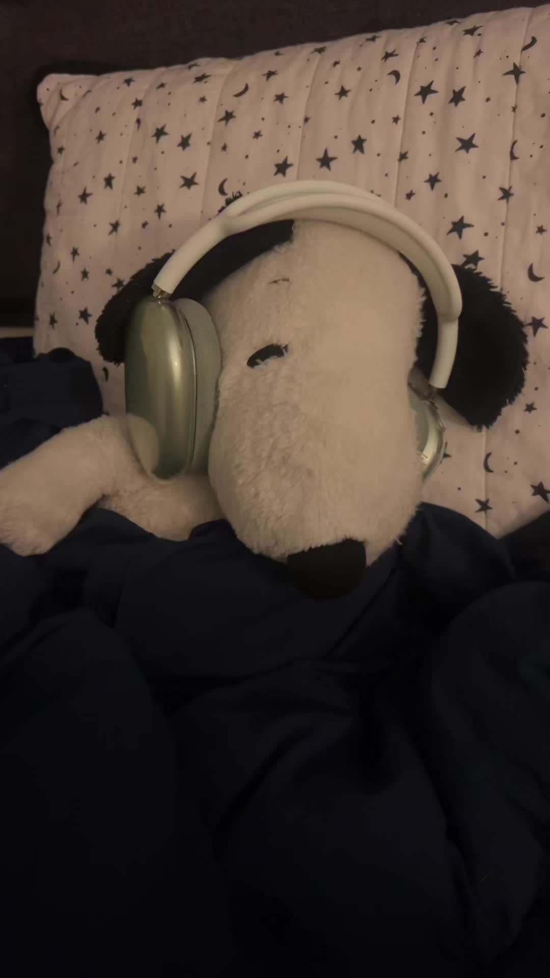 @snoopy