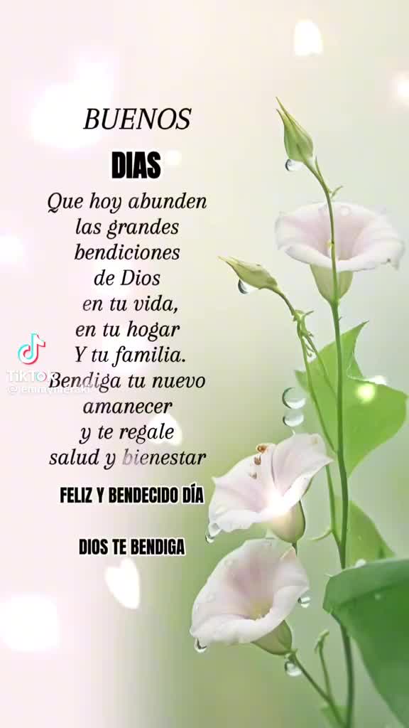 @ileanalopez18