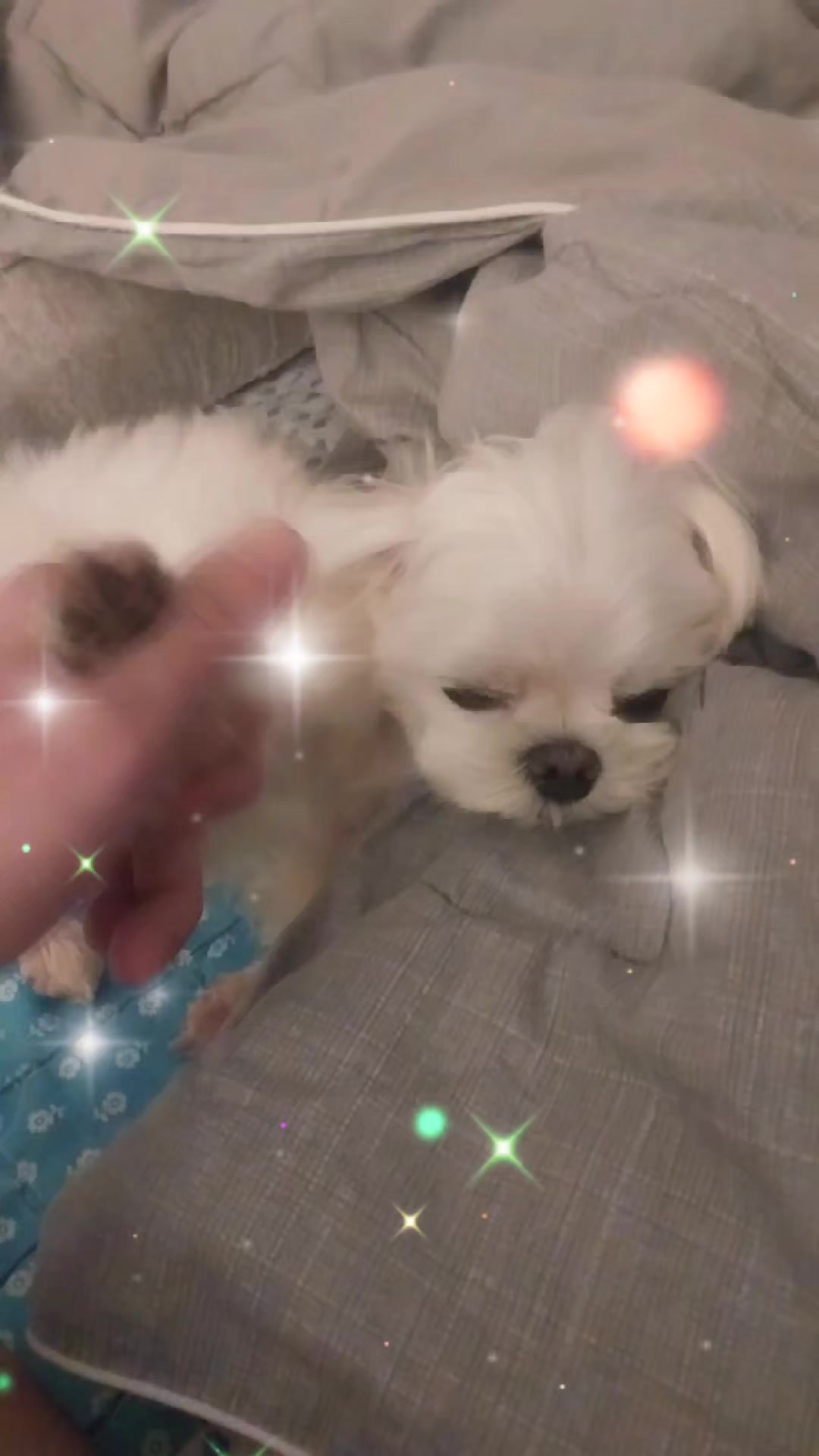 @🌜배우허정민🌛🌜문차일드🌛