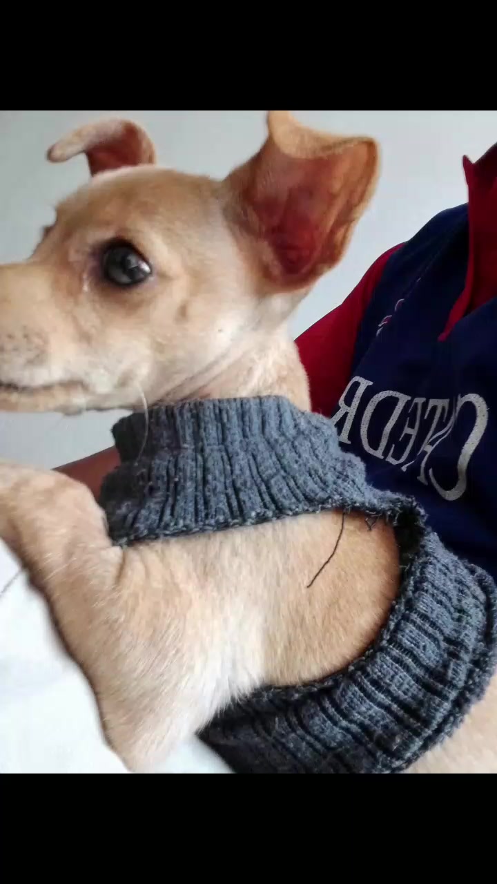 @🐶 Benji_Mya 🐾🐕
