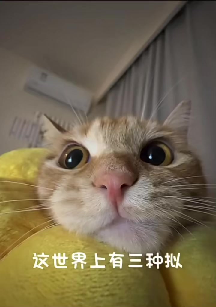 @☆〜(ゝ。∂)