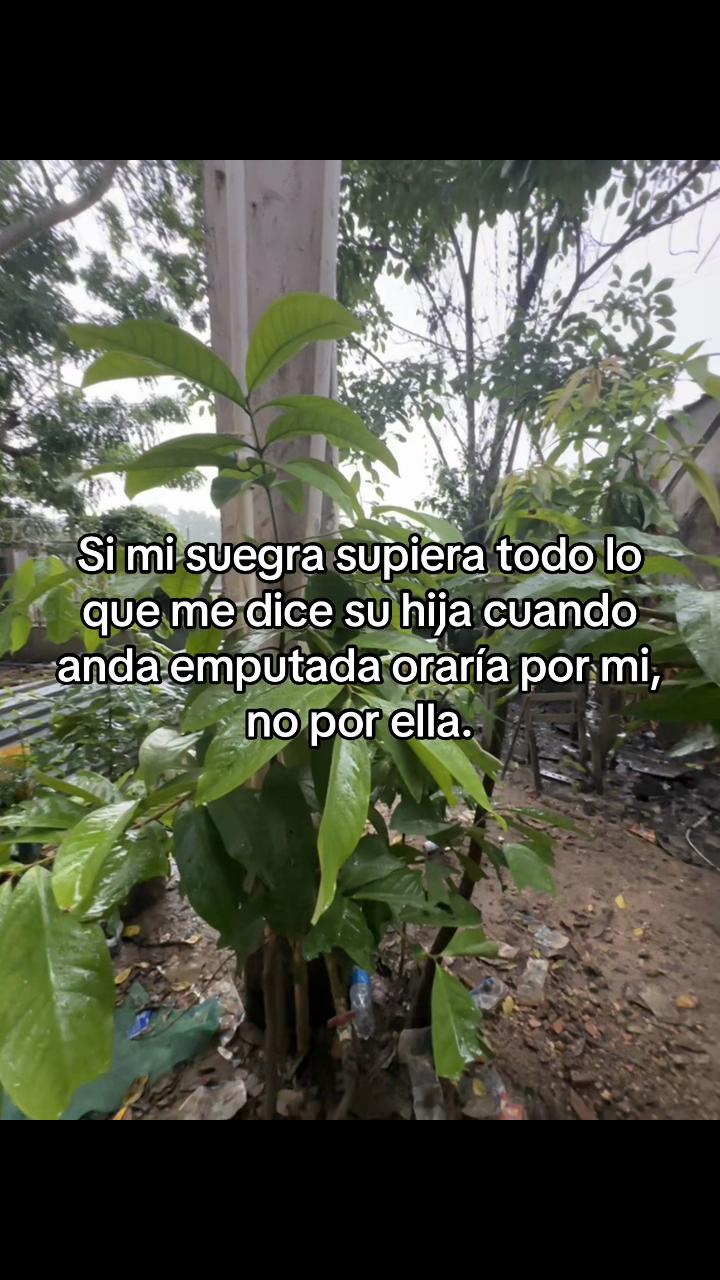 @fraidy.contrerasof