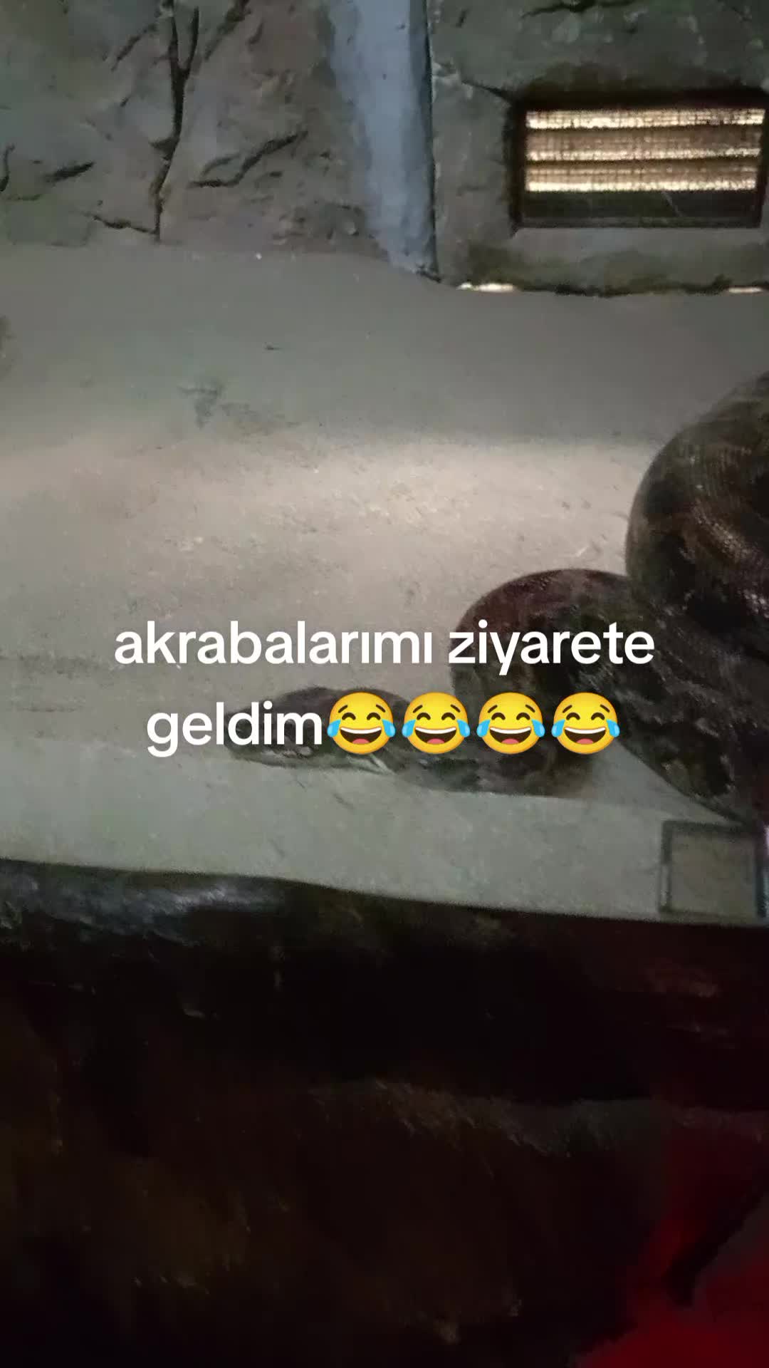 @Ateş 60 68