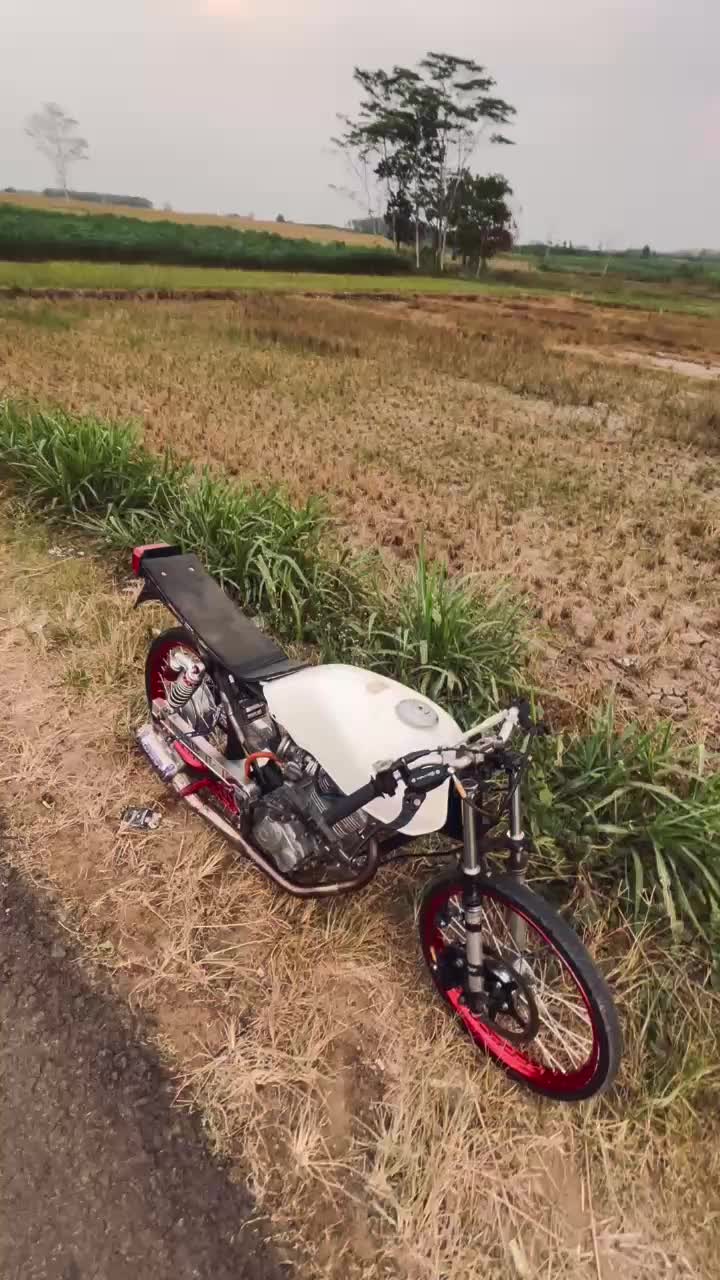 @rikotukul🐢