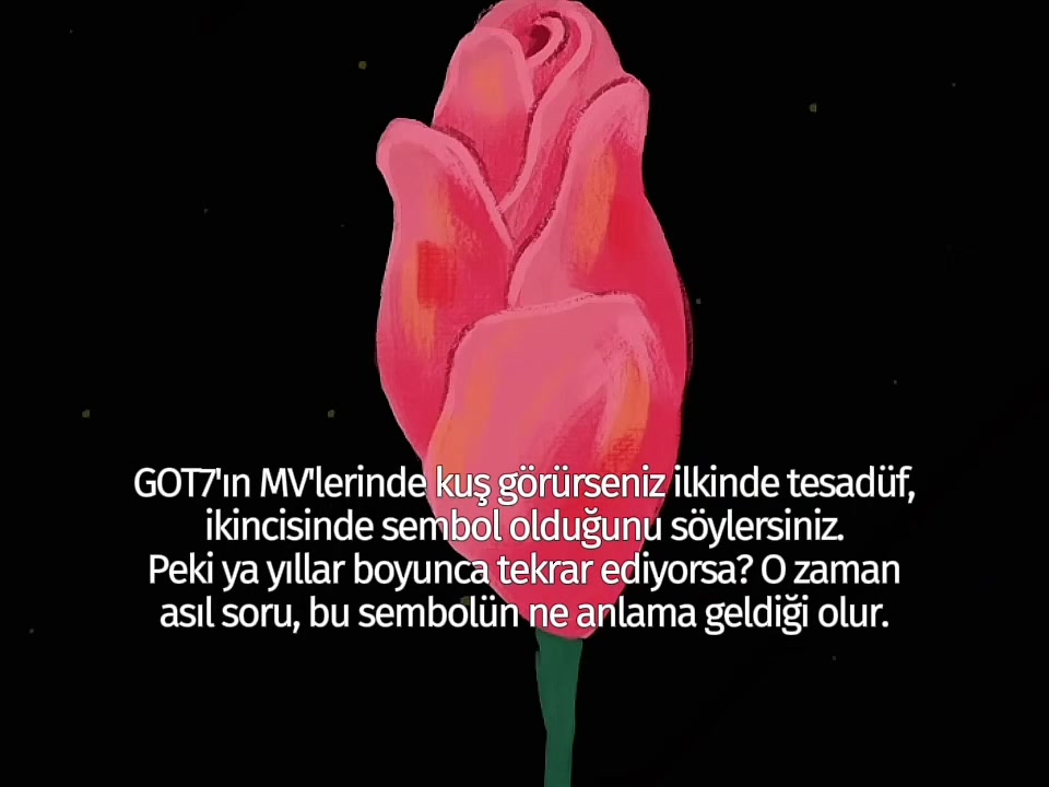 @got7 with igot7
