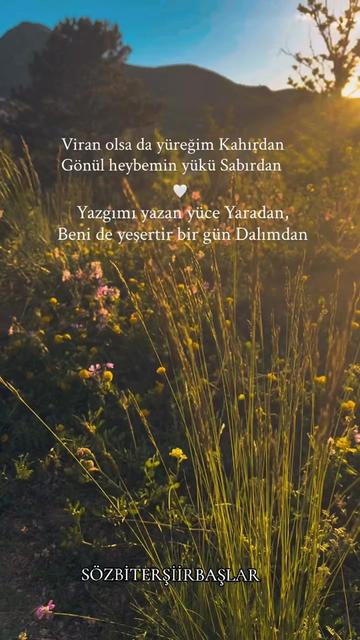 @☪⃝🇹🇷 GÖLGE ☪⃝🇹🇷