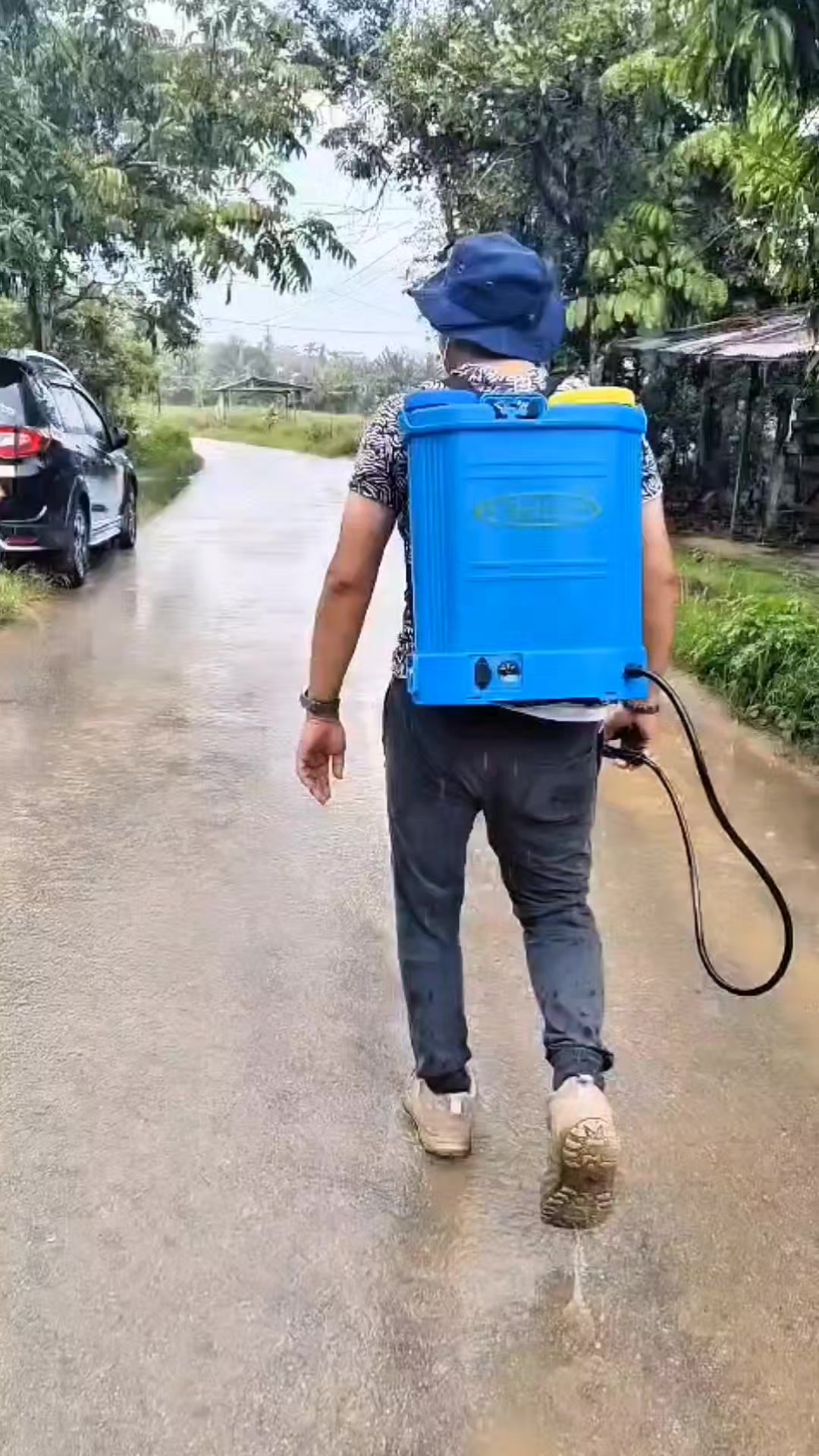 @Walet Rimba Kalimantan