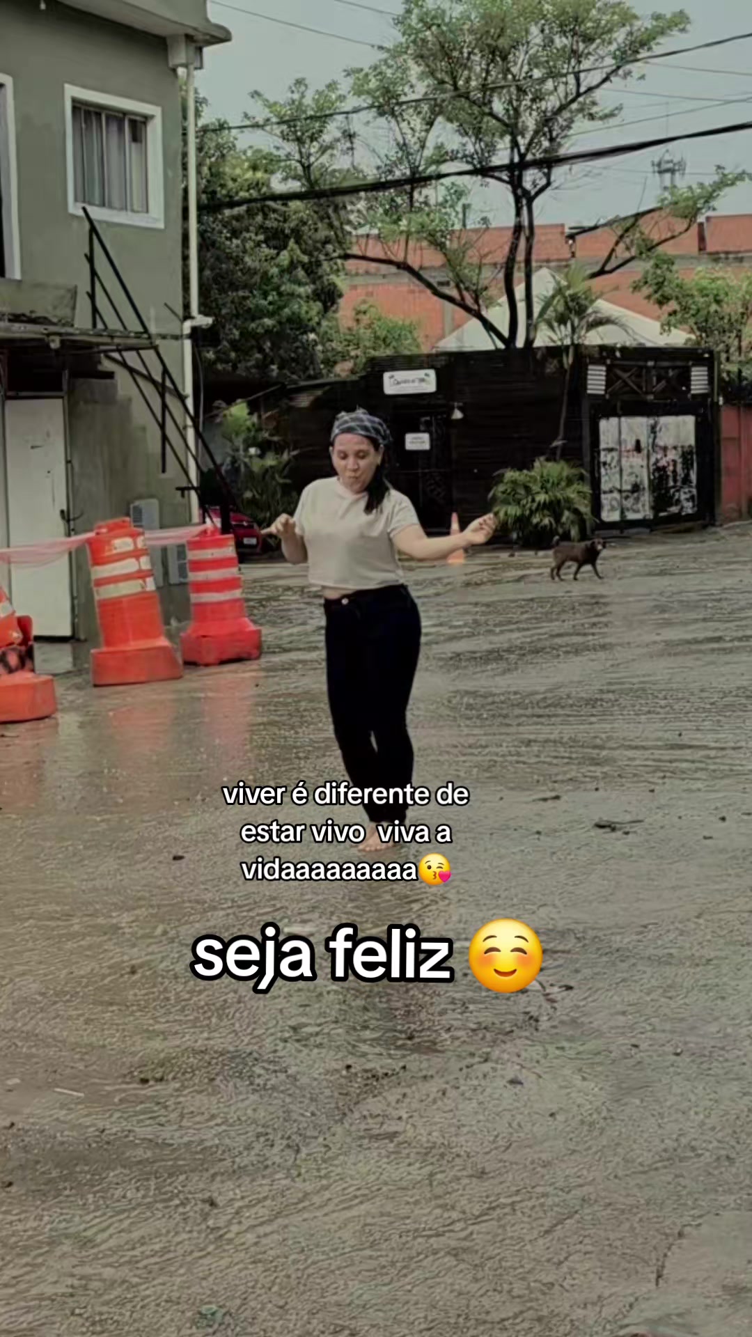 @Lilifeliz