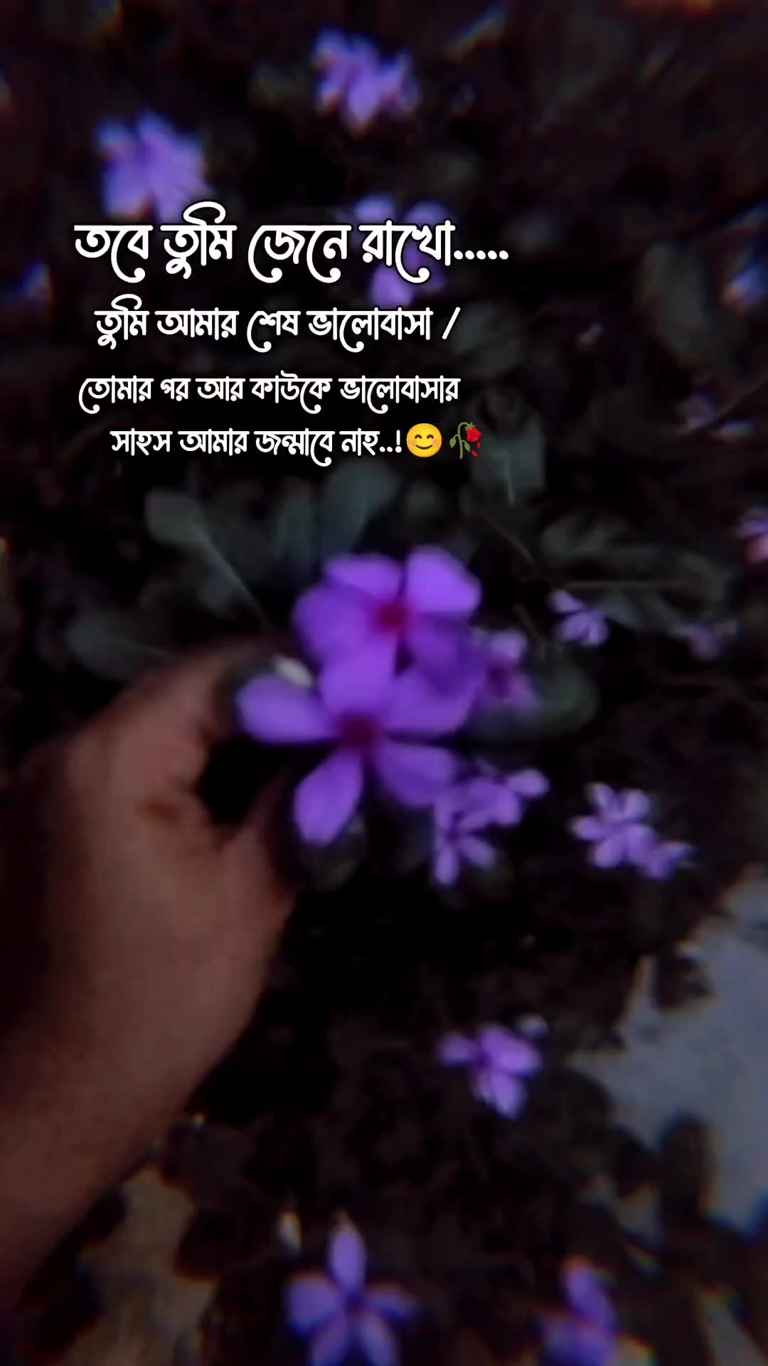 @💕Jeba💞Moni///💕