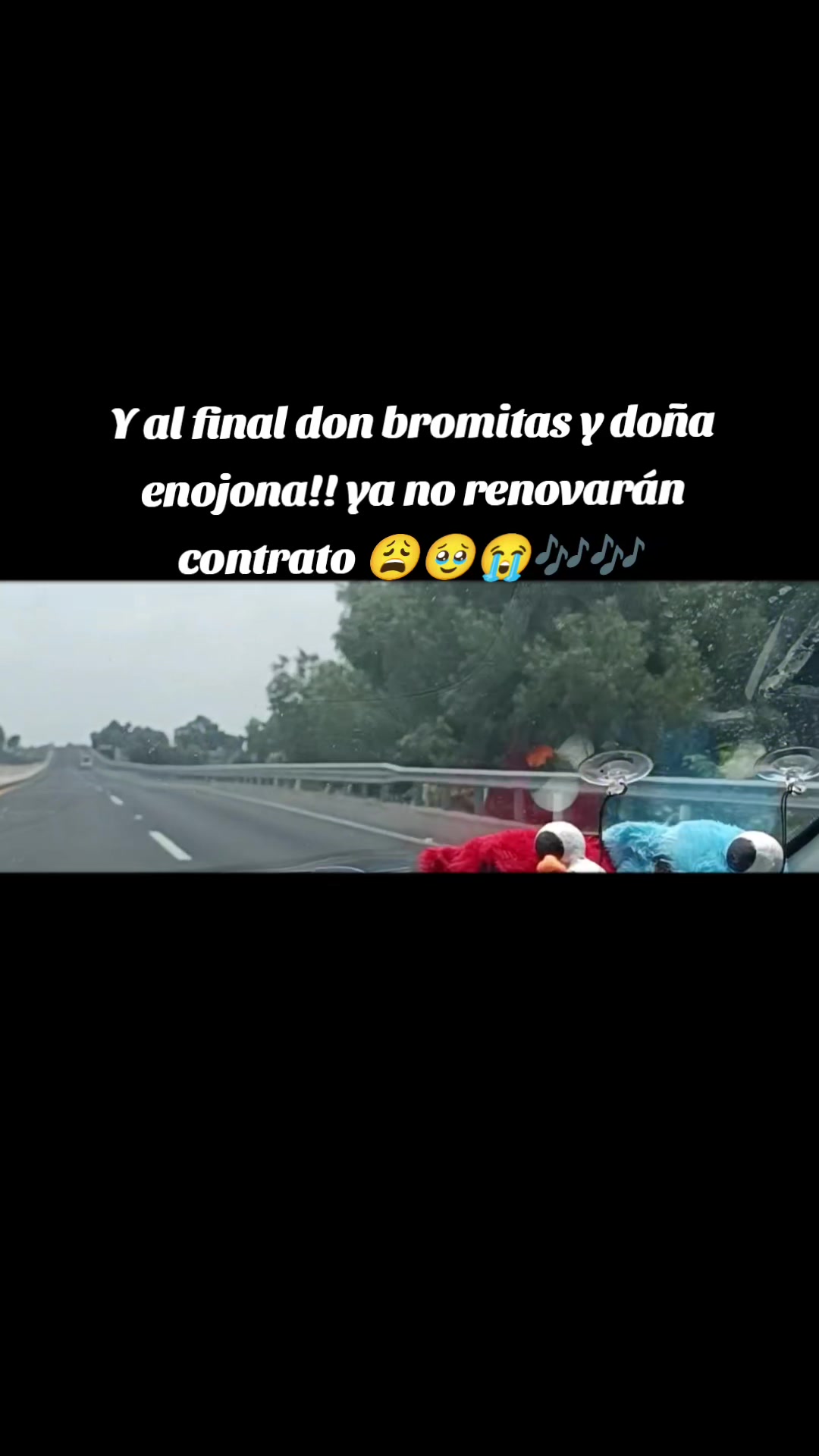 @osito alokadito 🙃🧸