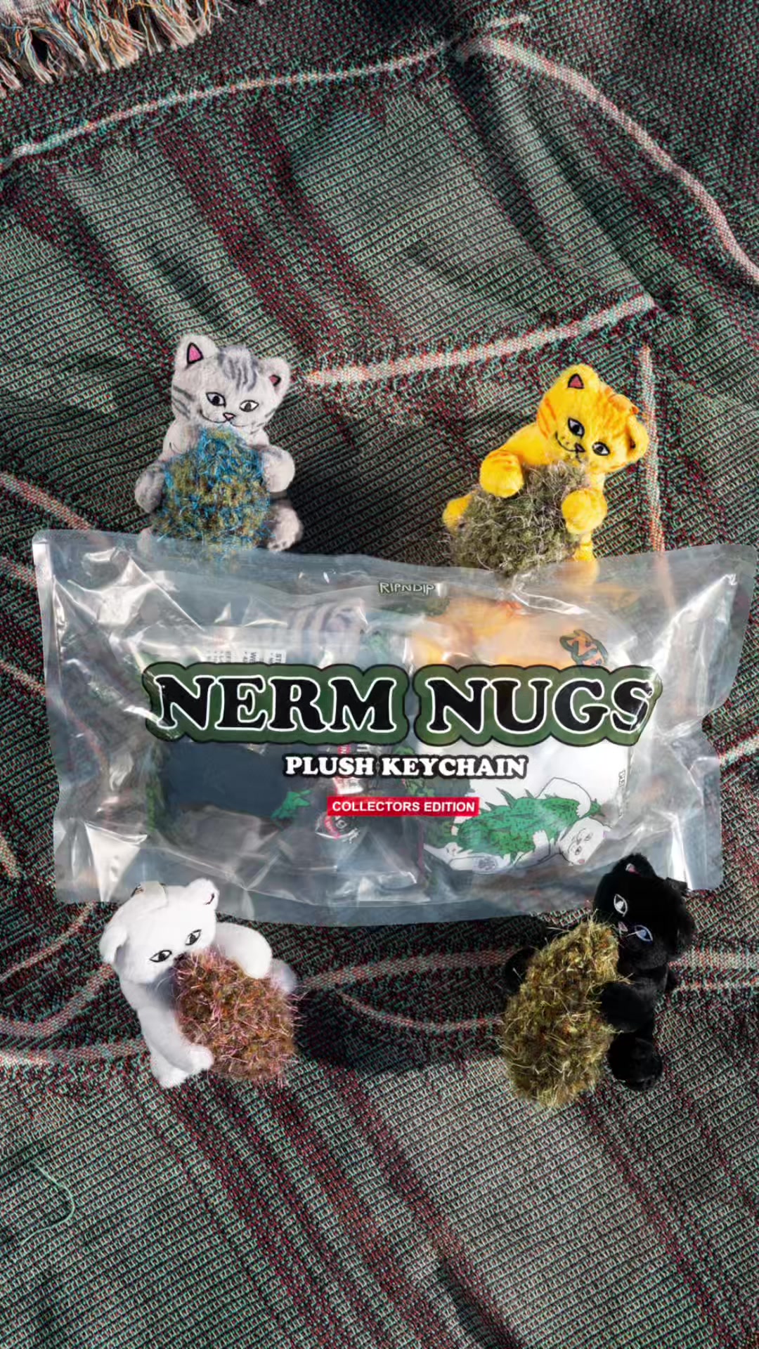 @RIPNDIP 東京