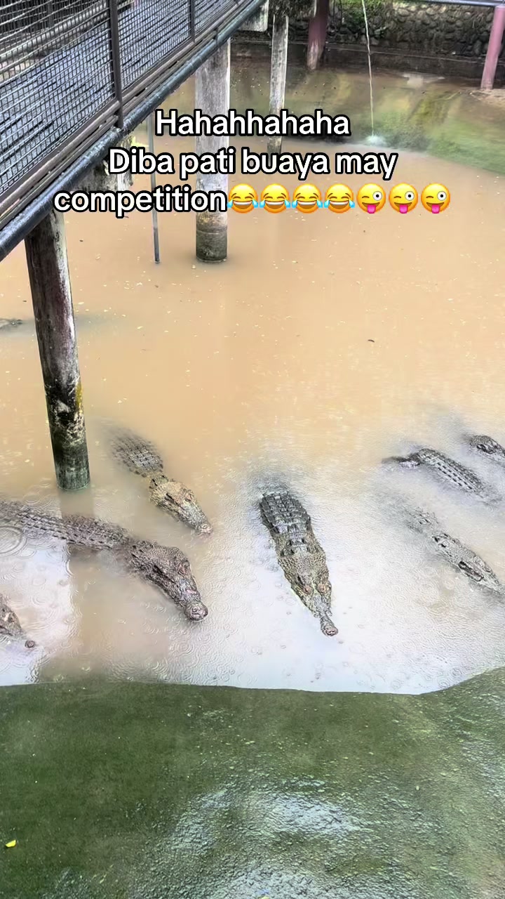 @IFERNMELASUNCION HEALTH PRODUC