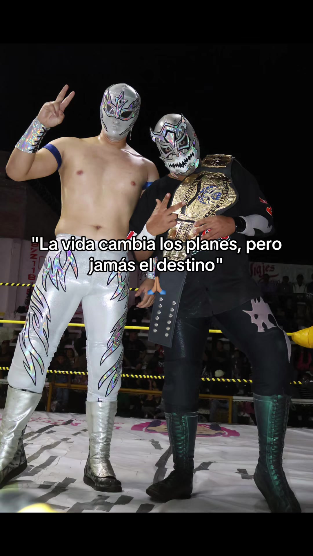 @Guerrero Dragon
