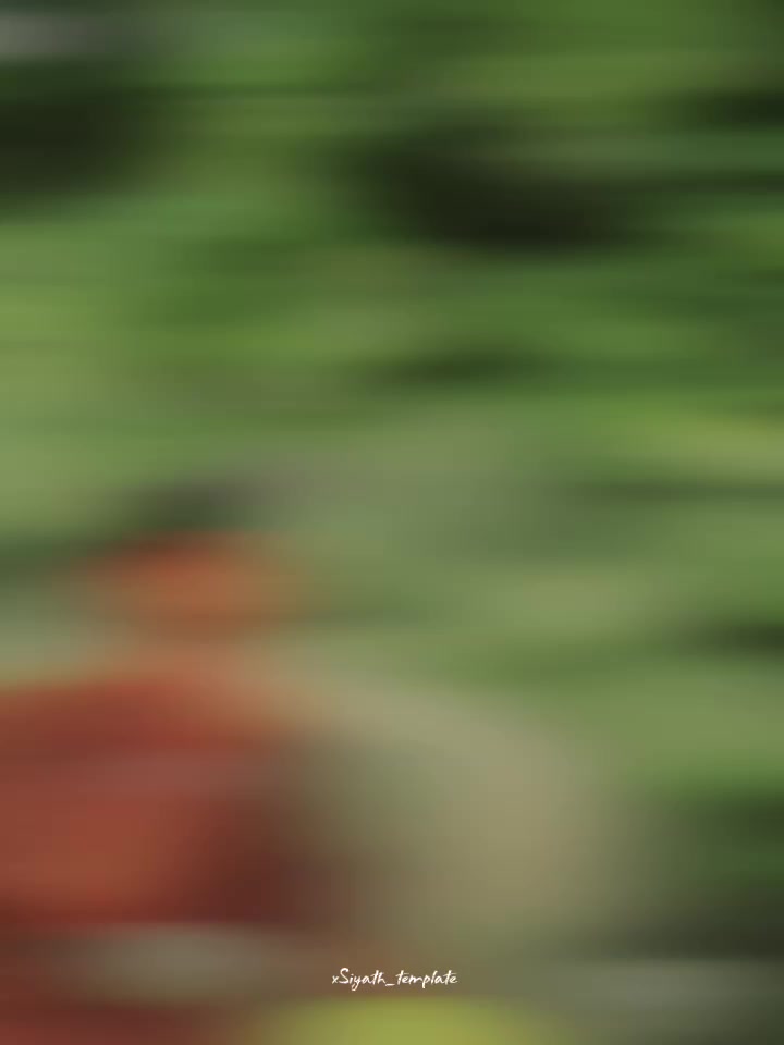 @➤𝑹𝒂𝒅𝒊𝒔𝒉 𓅷