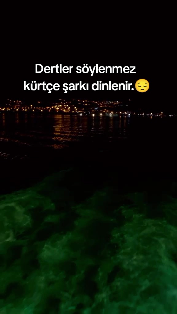 @rojin4747