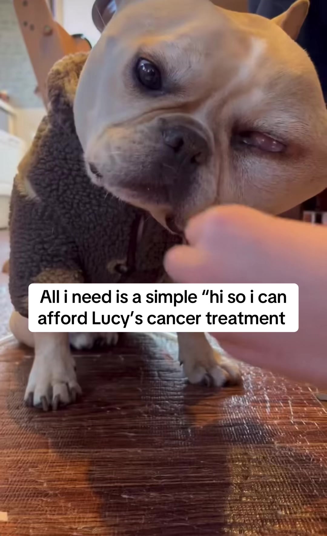 @Surgery for Lucy0